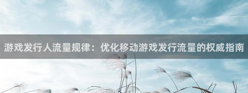 新城平台登陆：游戏发行人流量规律：优化移动游戏发行流量的权威指南