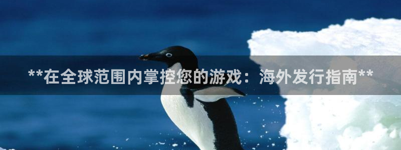 新城平台登录入口官网首页：**在全球范围内掌控您的游戏：海外发行指南**