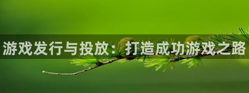新城平台游戏：游戏发行与投放：打造成功游戏之路