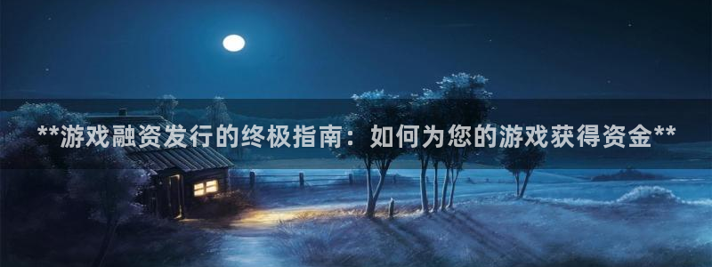 新城平台公司：**游戏融资发行的终极指南：如何为您的游戏获得资金**