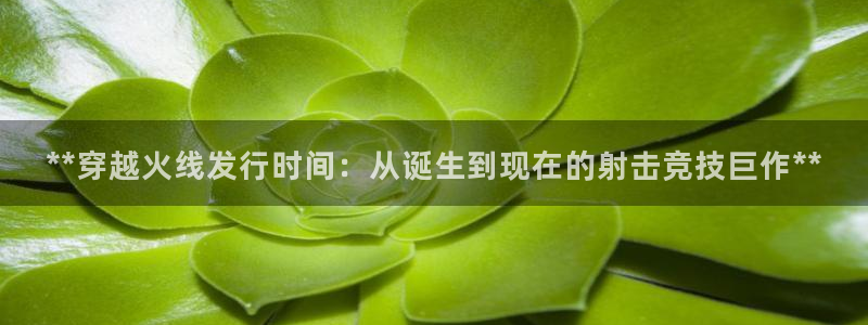 新城平台属于哪个系列：**穿越火线发行时间：从诞生到现在的射击竞技巨作**
