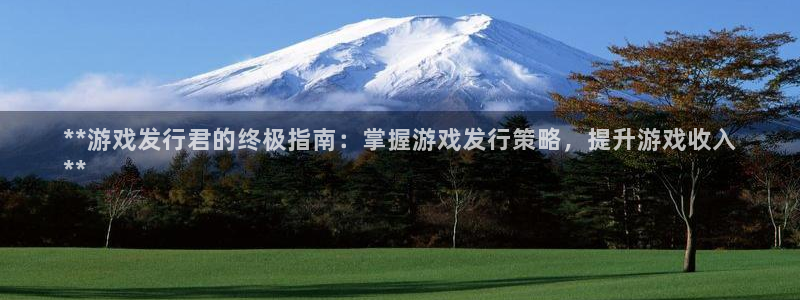 新城平台在线登陆：**游戏发行君的终极指南：掌握游戏发行策略，提升游戏收入
**