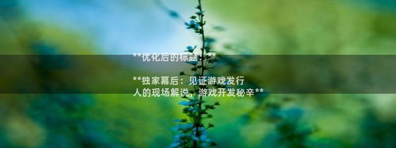 新城平台线路登录不上去怎么办呀：**优化后的标题：**

**独家幕后：见证游戏发行
人的现场解说，游戏开发秘辛**