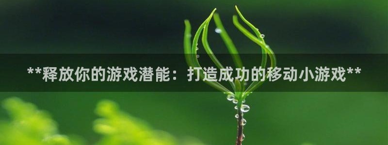 新城平台平台最新活动消息：**释放你的游戏潜能：打造成功的移动小游戏**