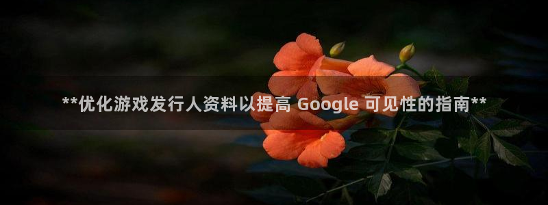 新城平台是正规平台吗：**优化游戏发行人资料以提高 Google 可见性的指南**