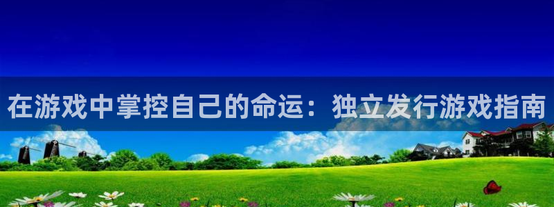 新城平台注册资金多少：在游戏中掌控自己的命运：独立发行游戏指南