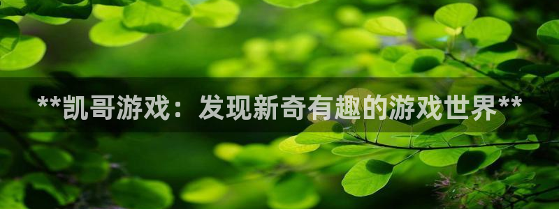 新城平台负责人：**凯哥游戏：发现新奇有趣的游戏世界**