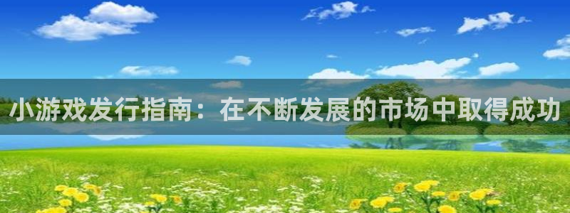 新城平台登录入口官网查询信息：小游戏发行指南：在不断发展的市场中取得成功