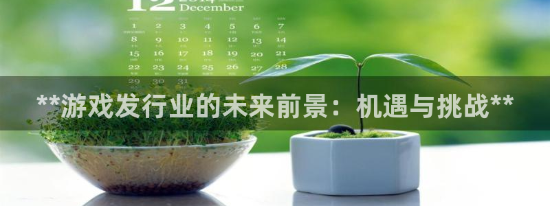 新城平台总代：**游戏发行业的未来前景：机遇与挑战**