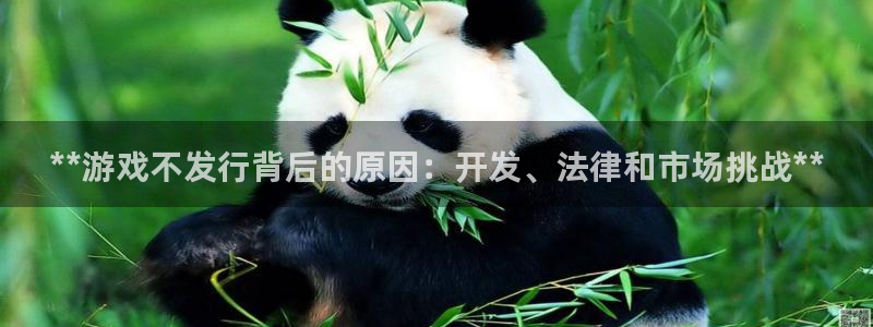新城平台代理电话：**游戏不发行背后的原因：开发、法律和市场挑战**