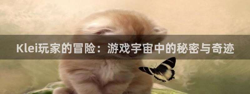 新城平台登录密码忘了