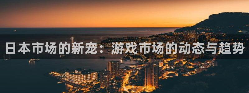 新城平台代理