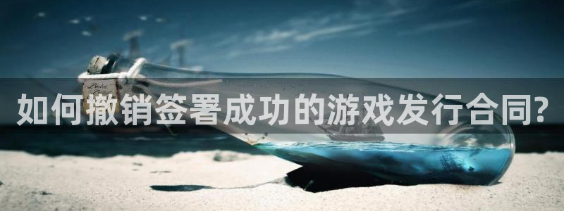 新城平台是干嘛的公司有哪些