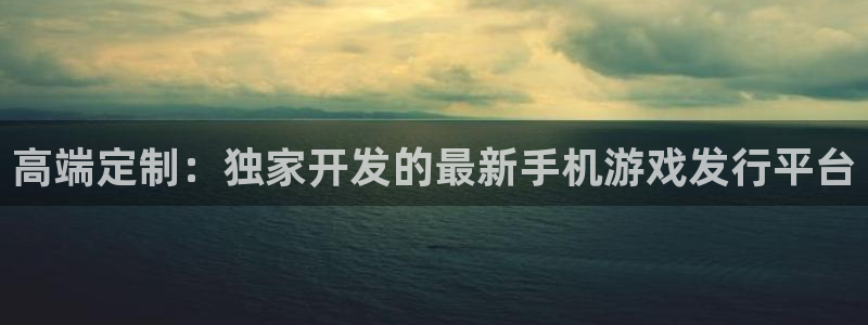 新城平台线路登录不上去了