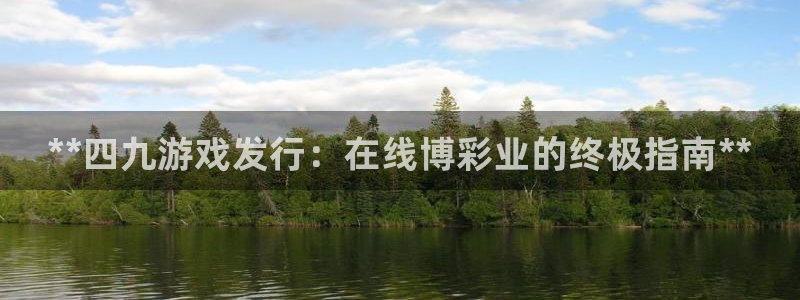 新城平台线路登录不上去怎么办：**四九游戏发行：在线博彩业的终极指南**