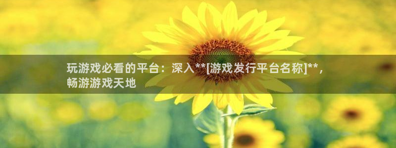 新城平台公司