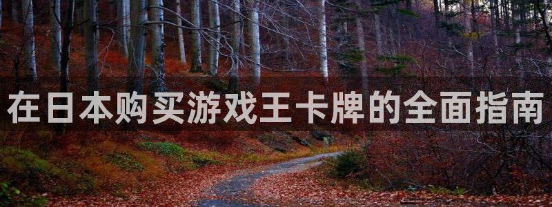新城平台登录入口官网网址是什么：在日本购买游戏王卡牌的全面指南