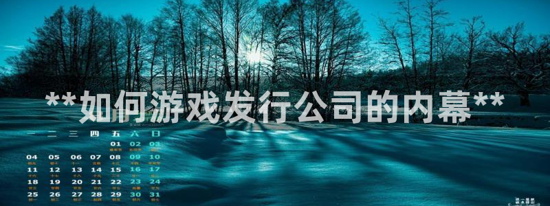 新城平台记7O777：**如何游戏发行公司的内幕**