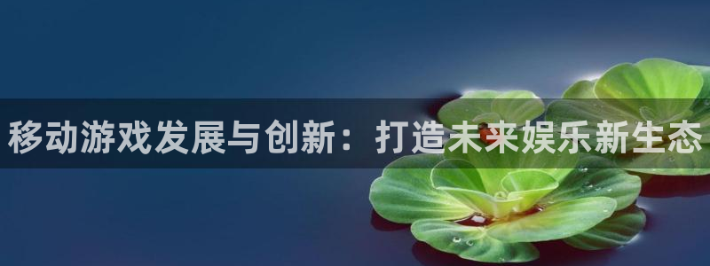 新城平台登录入口官网网址是什么