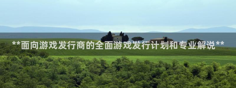 新城平台登录入口官网首页下载：**面向游戏发行商的全面游戏发行计划和专业解说**