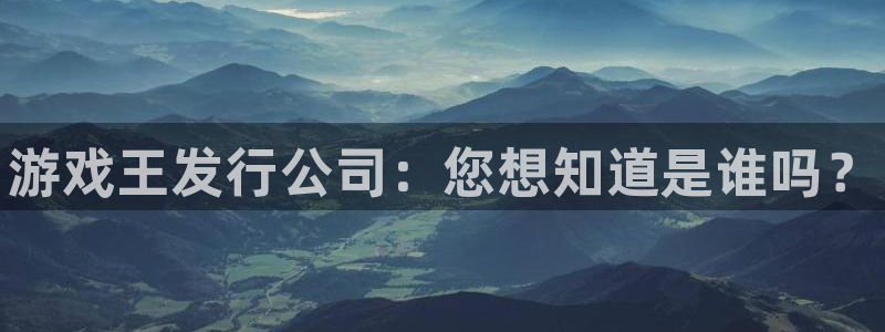 新城平台怎么样