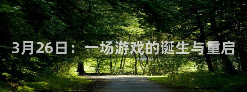 新城平台分分彩