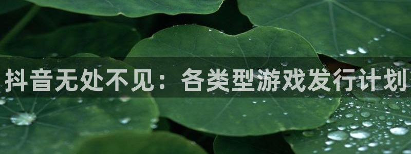 新城平台线路登录不上去怎么回事呀：抖音无处不见：各类型游戏发行计划