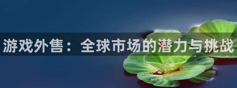 新城平台总代：游戏外售：全球市场的潜力与挑战