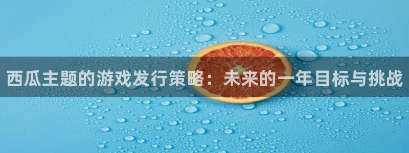新城平台登录入口：西瓜主题的游戏发行策略：未来的一年目标与挑战