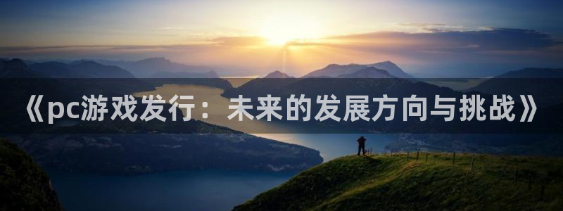 新城平台登录密码忘了：《pc游戏发行：未来的发展方向与挑战》