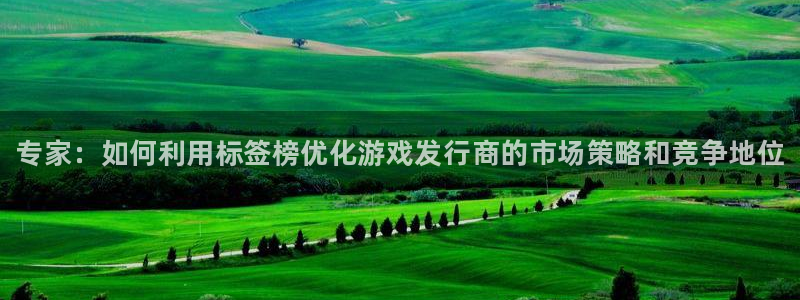 新城平台怎么样：专家：如何利用标签榜优化游戏发行商的市场策略和竞争地位