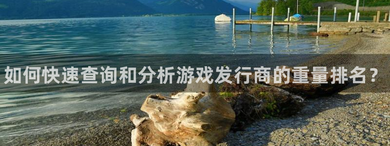 新城平台是干嘛的